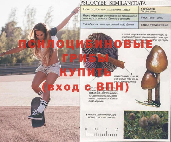 ECSTASY Бронницы