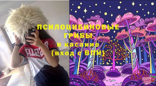 ECSTASY Бронницы