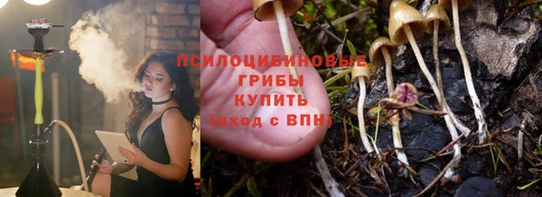 ECSTASY Бронницы
